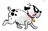 cagnolino che corre